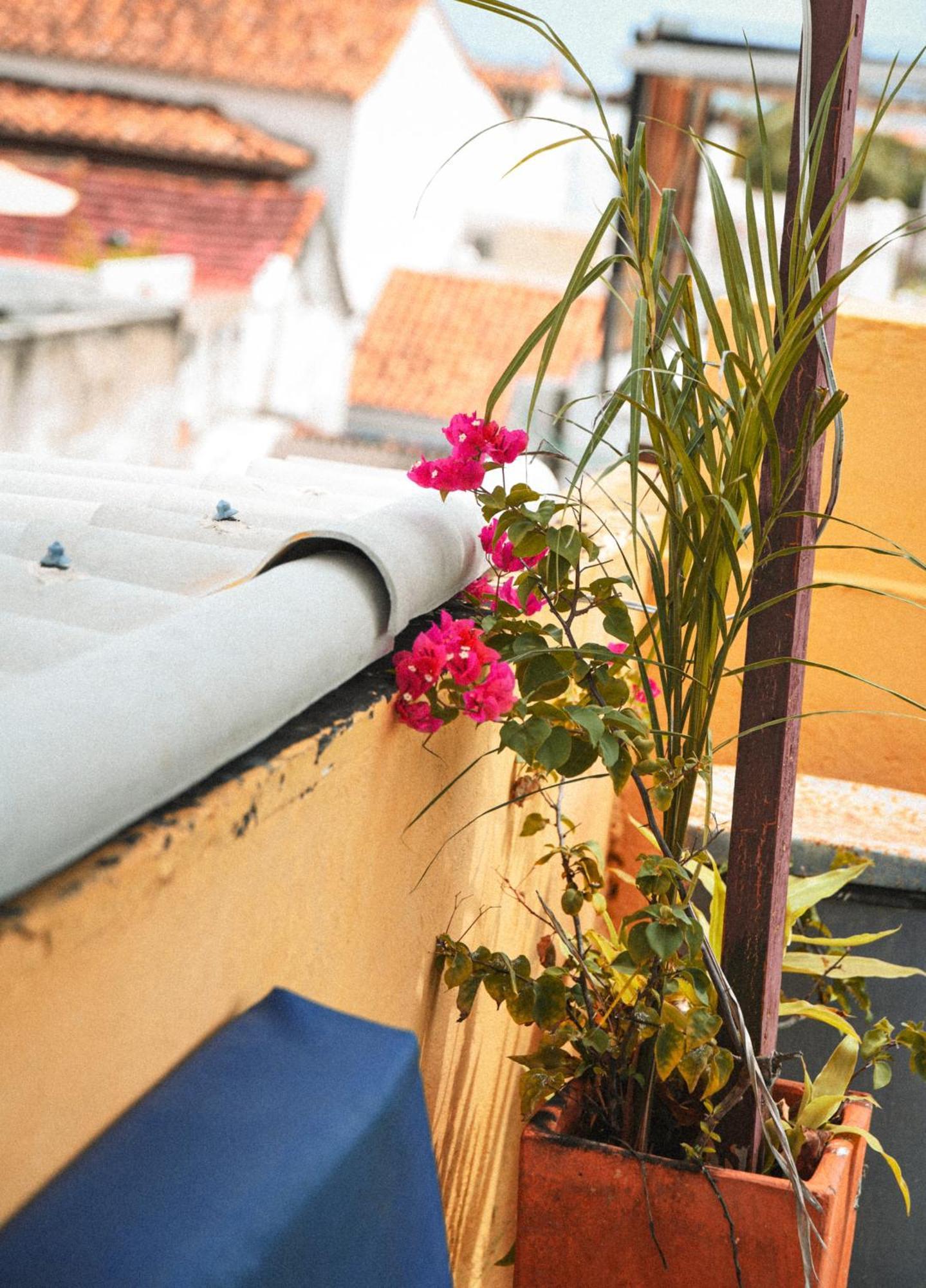 Hotel Casa De La Cruz à Cartagène Extérieur photo